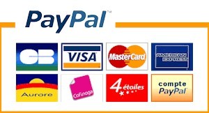 paiment sécurisé par cartes bancaires
